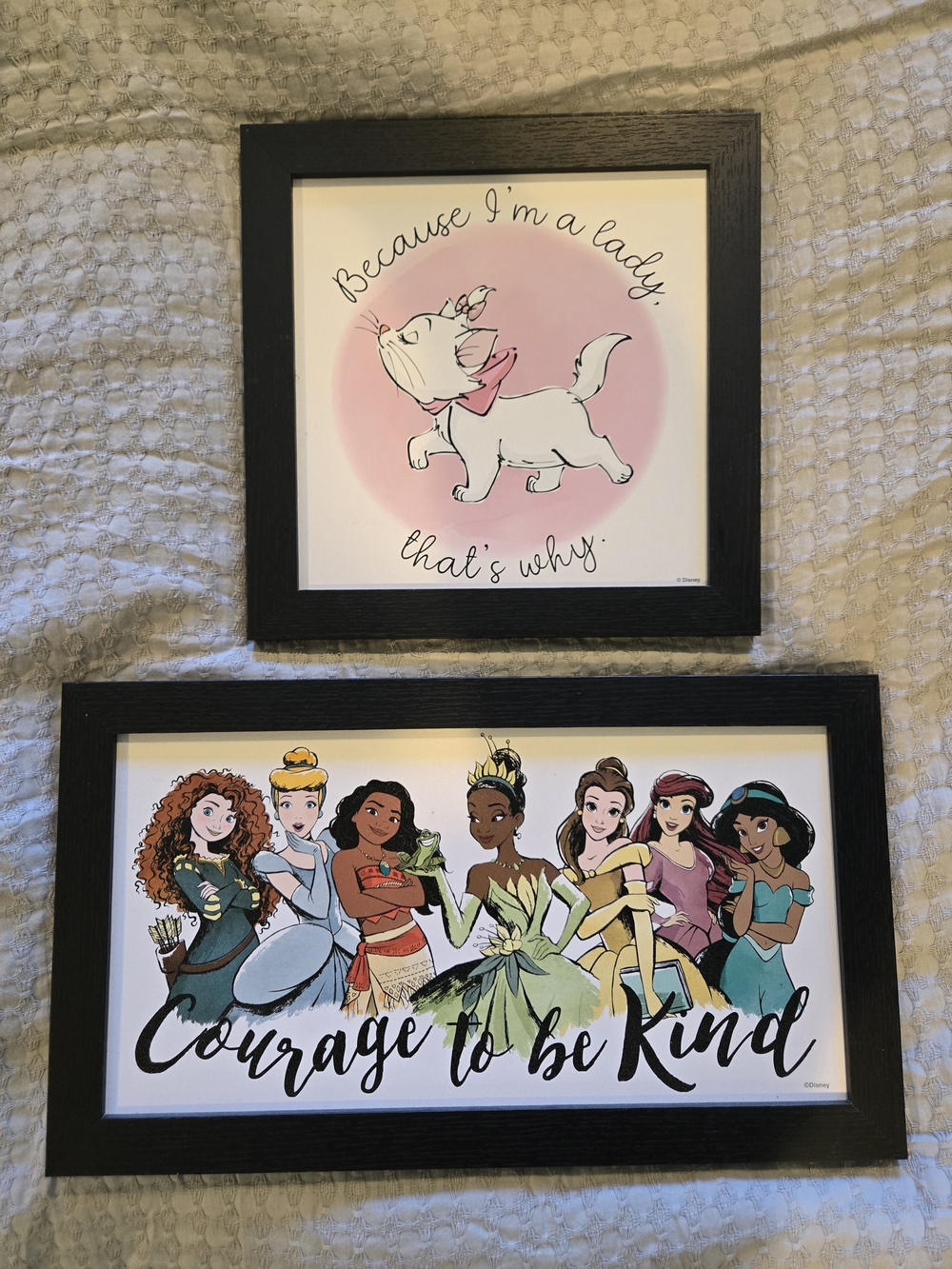 2pc Disney Framed Princess Art - Pink & Multicolor